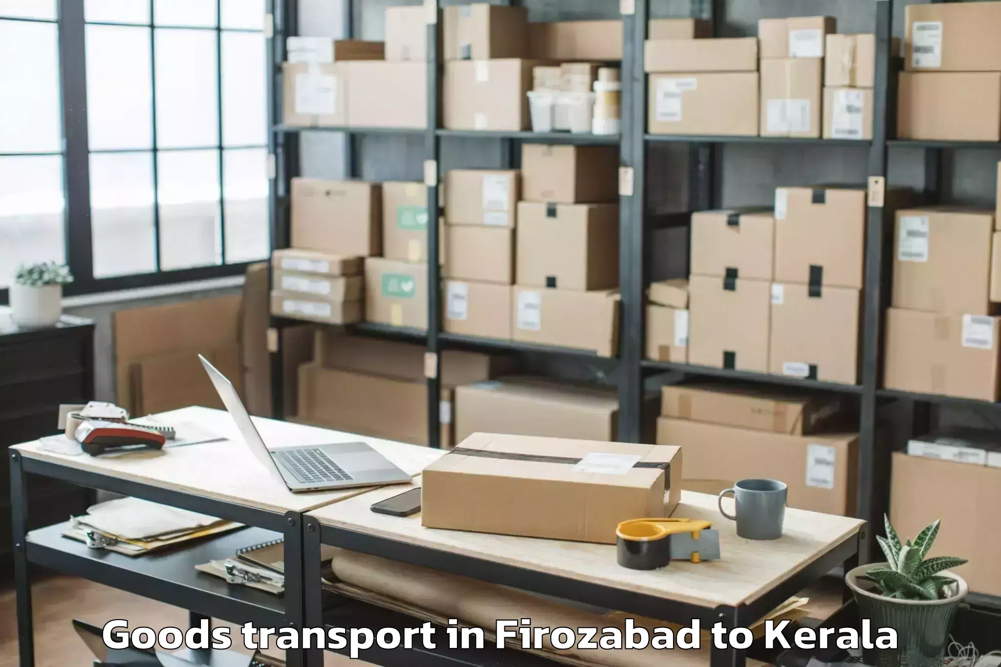 Professional Firozabad to Marayur Goods Transport